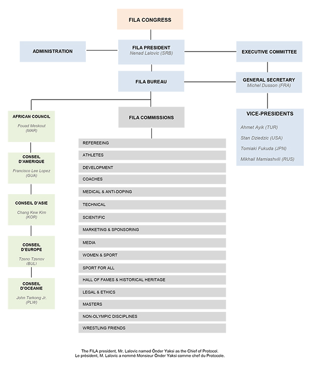 organigramme