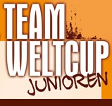 logo_plauen_11