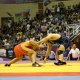 amg0480